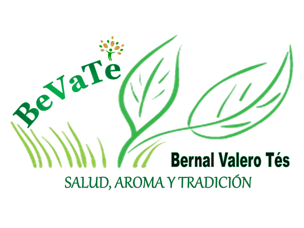 Logo BeVaTe transparente